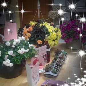 Meet your Posher, Mary sue